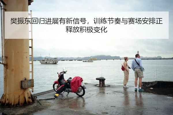 樊振东回归进展有新信号，训练节奏与赛场安排正释放积极变化